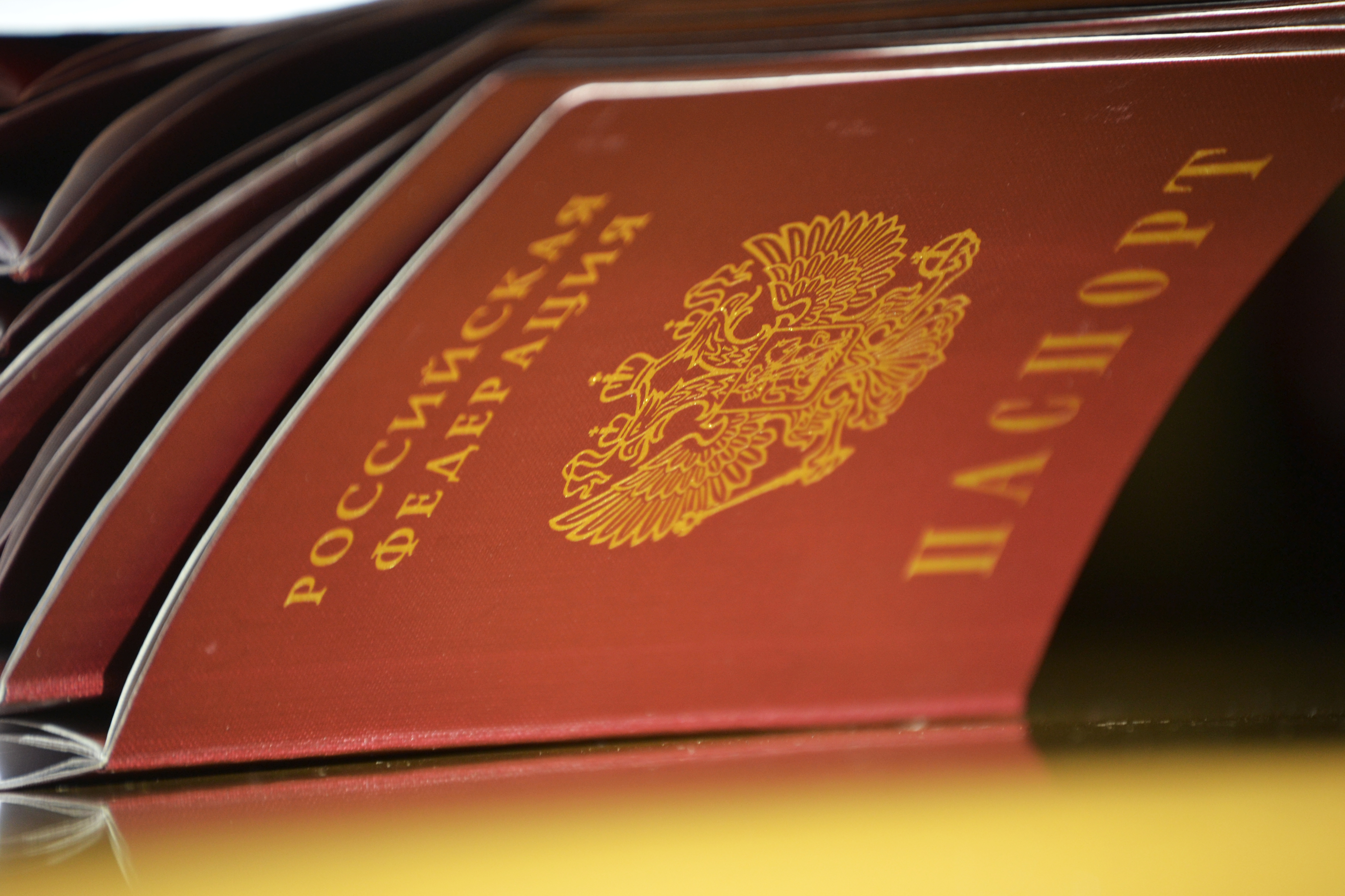 Торжественное вручение паспортов гражданина Российской Федерации.