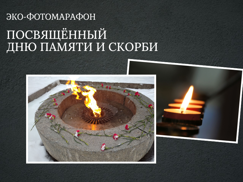Новгородцы примут участие в эко-фотомарафоне, посвящённом Дню памяти и скорби.
