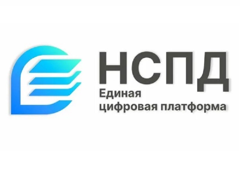Полезные сервисы на геопортале НСПД.