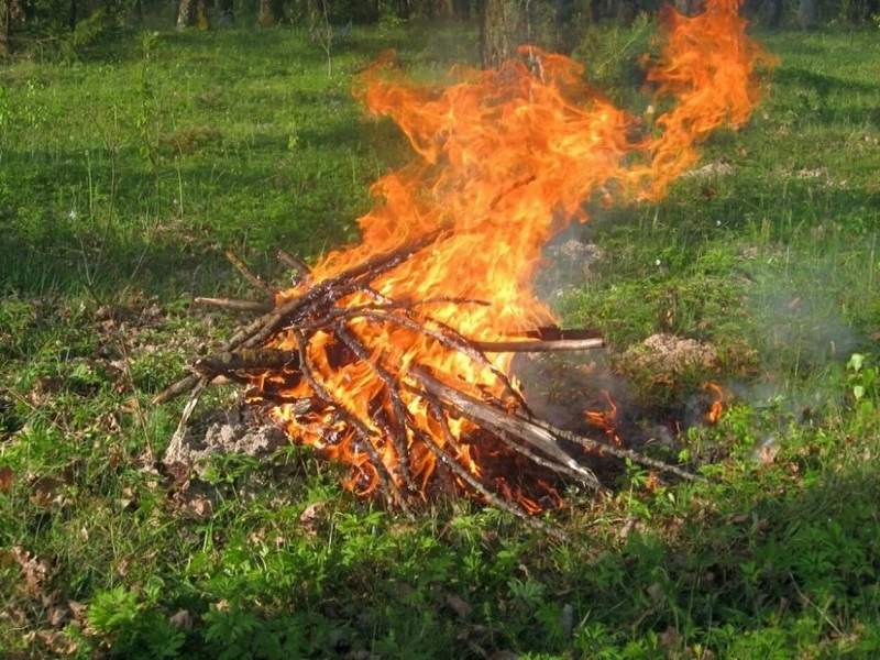 6 апреля в Новгородской области начнется пожароопасный сезон. Памятка населению.