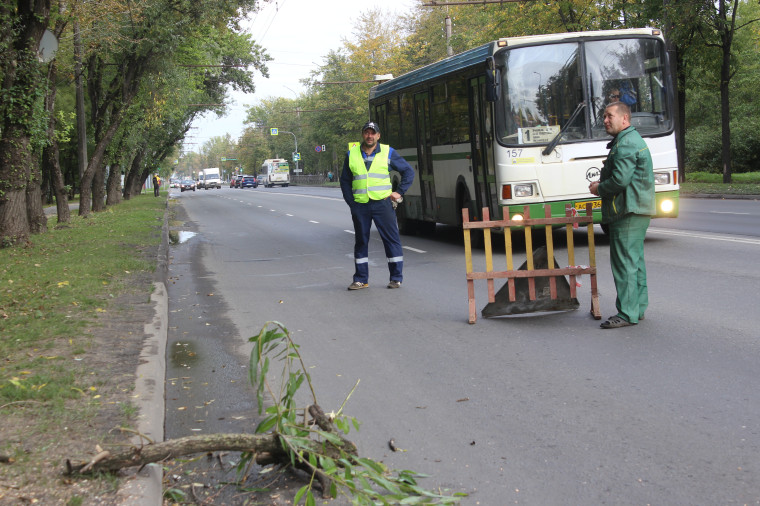 Вдоль Б. Санкт-Петербургской улицы проводится снос аварийных деревьев.