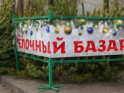 Ёлочные базары в Великом Новгороде.